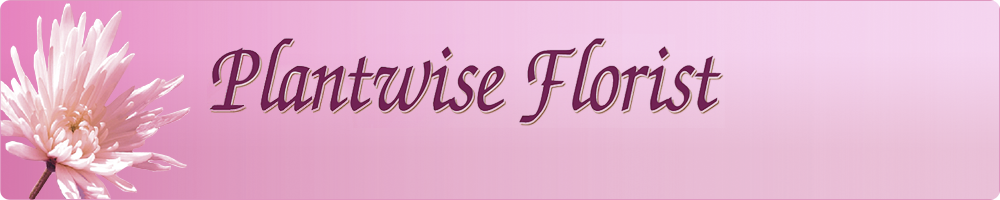 Plantwise Florist